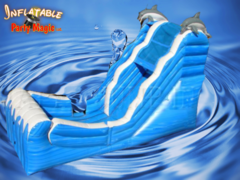 17 foot tall Ocean Inflatable Waterslide